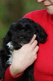ADULTE ET CHIEN 266